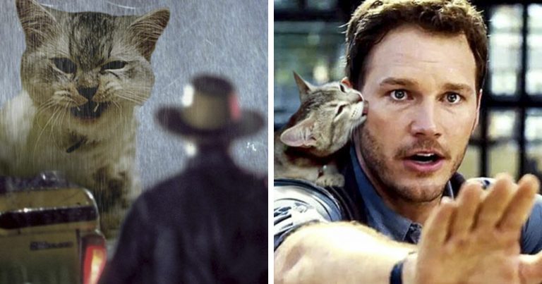 Someone Replaced Jurassic Park Dinosaurs With Cats, And It's Hilarious