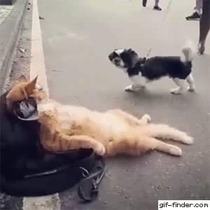 don't worry ... be happy...