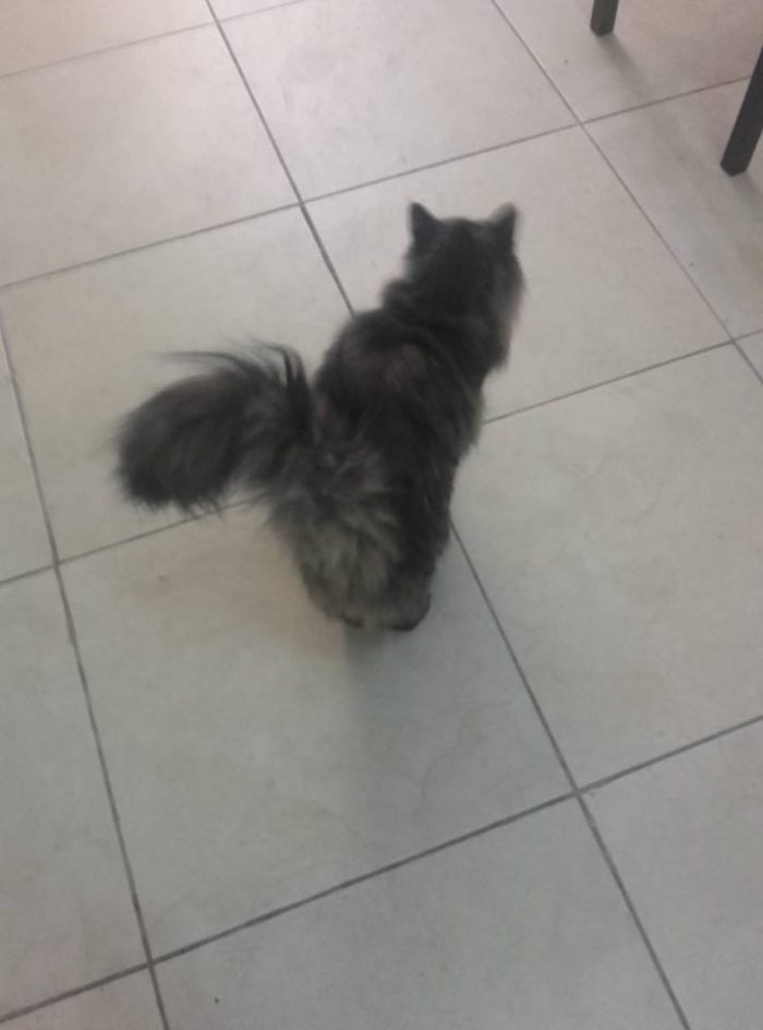 hello guys,i need help.PTPA..