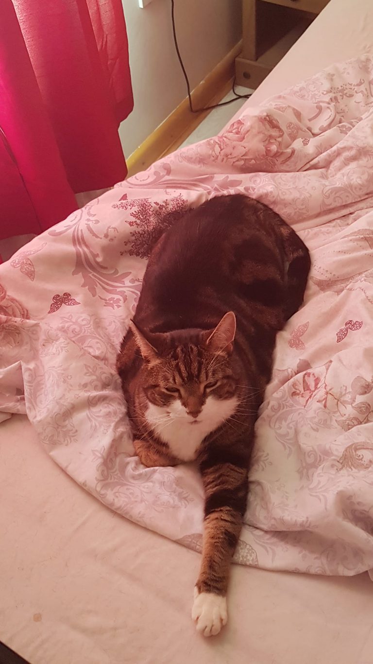 Chilled Tommy wishes all a lovely day