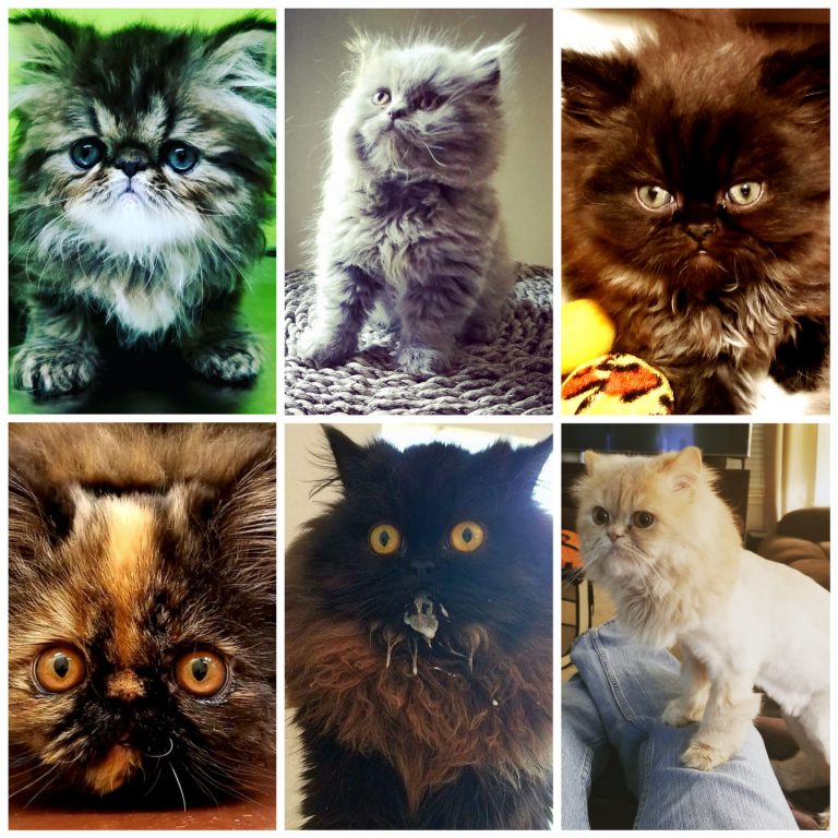 We are stopping at 6 no doubt about it. I said the same thing at 1,2,3 4 and 5 b