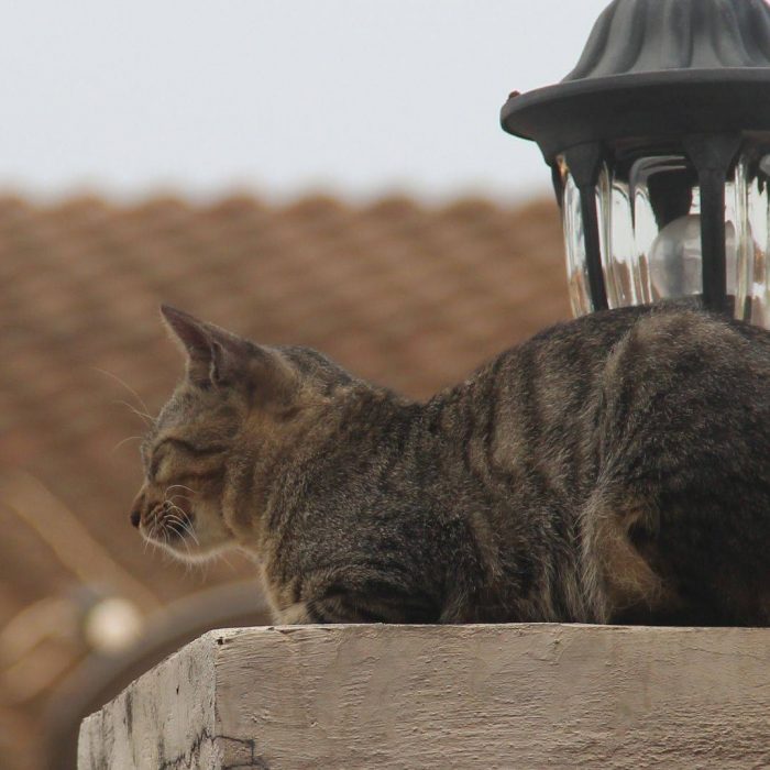 Leave !e alone, no disturb...