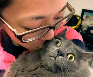 FunnyCatSite