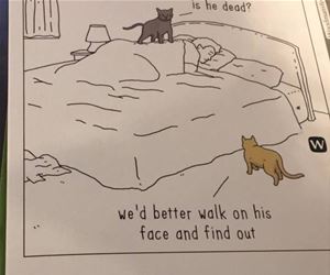 FunnyCatSite