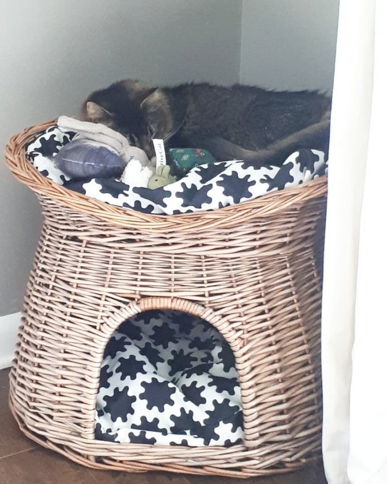 Caught snuggling with his toys