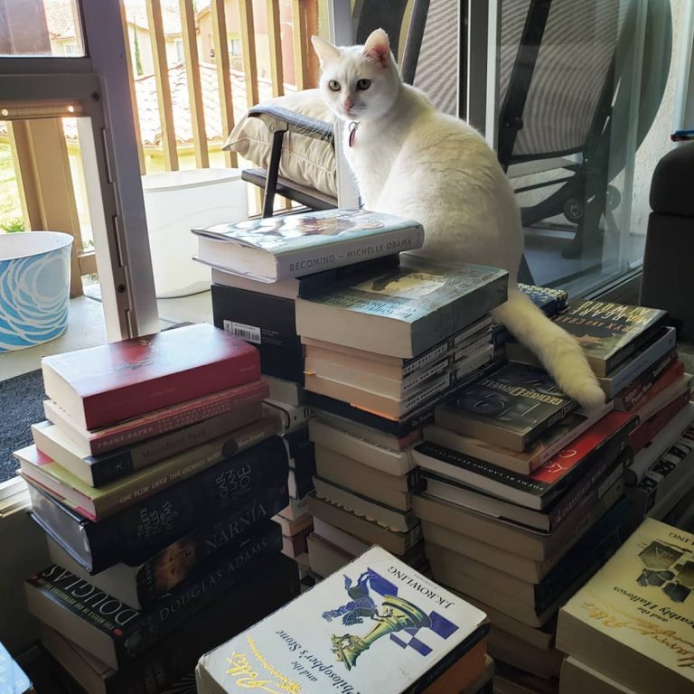 Reorganizing my bookshelves today with Sammy's help  What are your plans this weekend?
•
•
•
#bookstagram #books #bookphotography #currentlyreading #literature #tbr #alwaysreading #booknerd #bookgram #readersofig #instabooks #reading #paperleatherink #cat