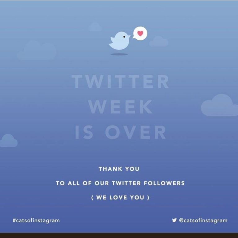 Photos and videos from this week have been brought to you by #TwitterWeek! (Stil...