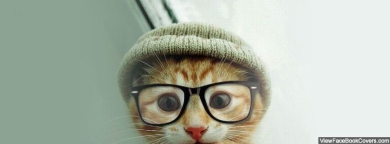 Nerdy Kitten with Glasses