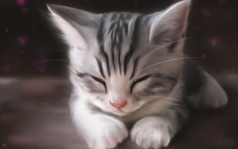 drawing of sleeping kitten