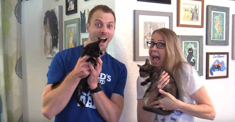 2 NEW KITTENS – Cole & Marmalade are Getting Sisters!! – We Love Cats
