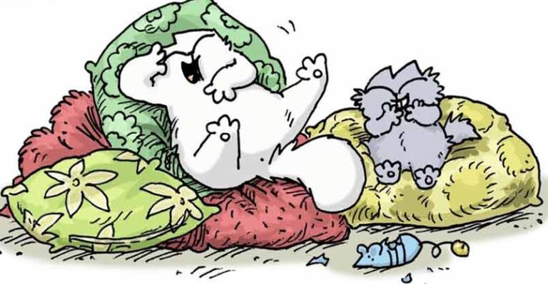 9 Things You Need To Know About Kittens – Simon’s Cat Care – We Love
