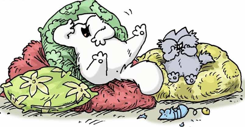 9 Things You Need To Know About Kittens – Simon’s Cat Care – We Love