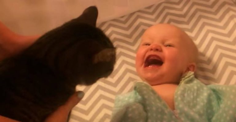 Baby is So Excited to See Kitty!