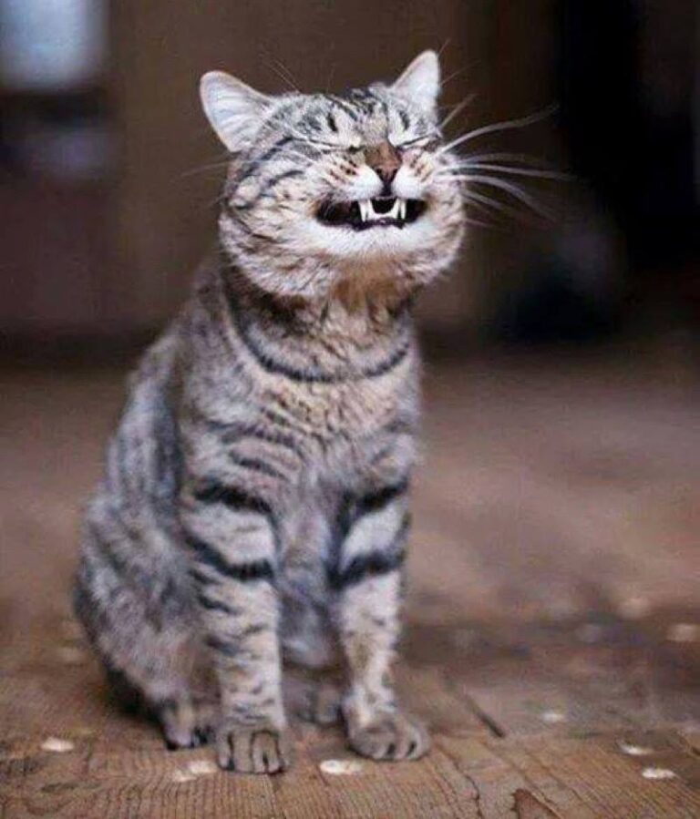 Because I’m happy…..