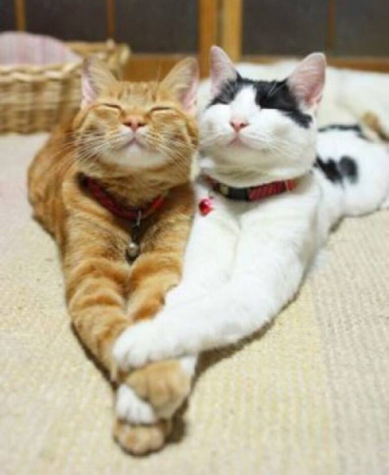 Best of friends…….how delightful