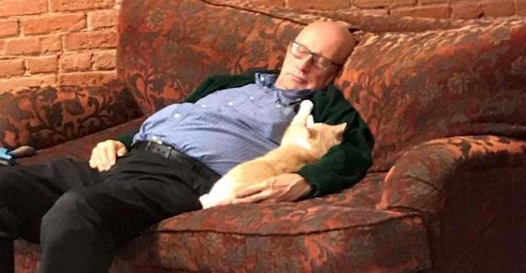“Cat Grandpa” Who Naps with Kitties at Shelter is Internet Sensation