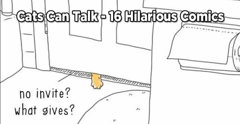 Cats Can Talk – 16 Hilarious Comics That Are Impossible Not To Laugh
