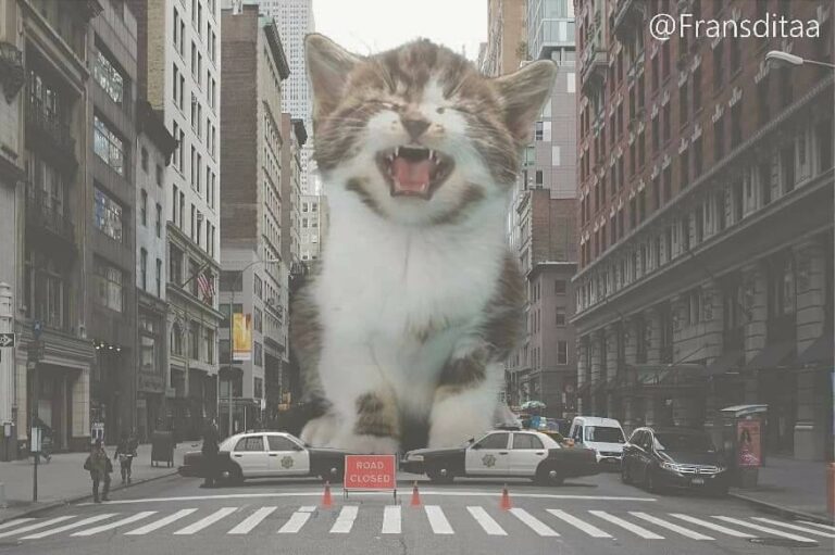 Catzilla! (Via: Fransdita Muafidin) Join our group: Happy Cats