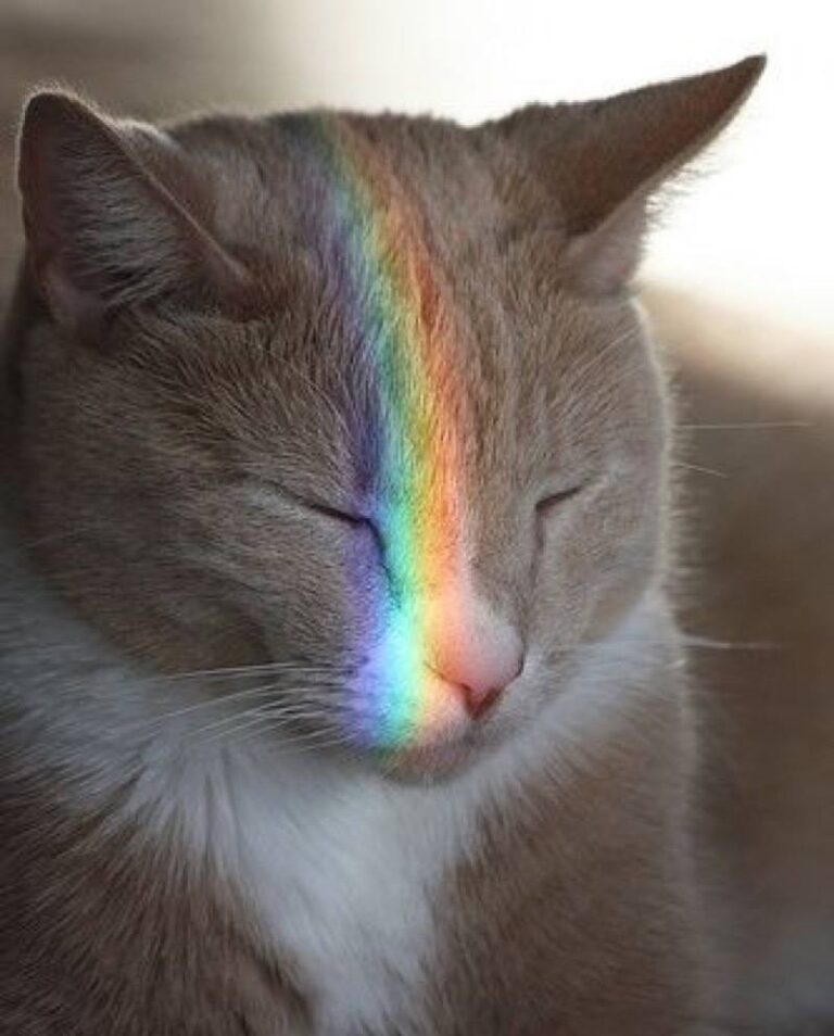 Fabulous pic