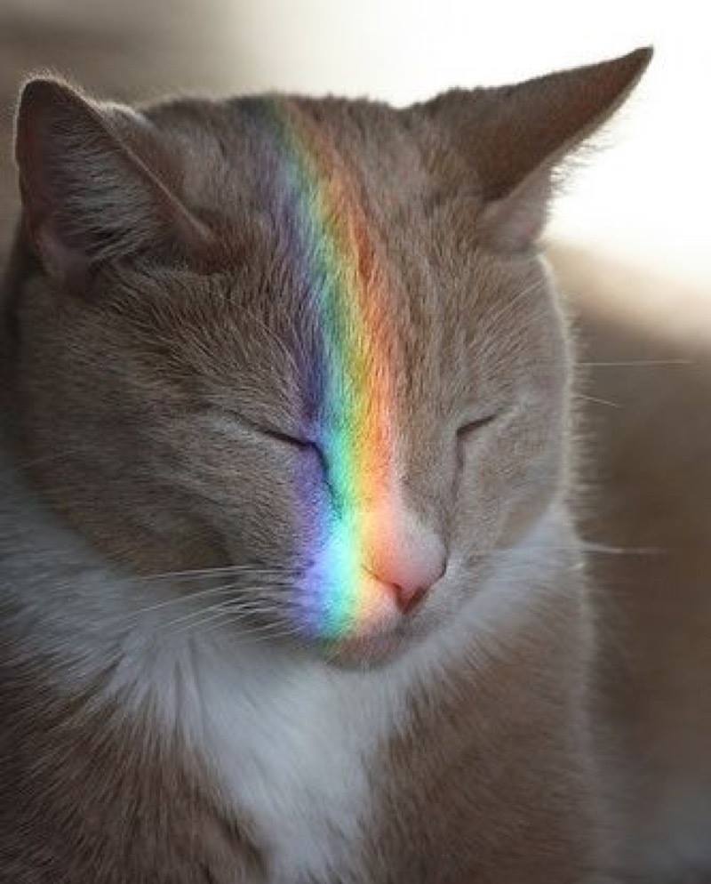 Fabulous pic