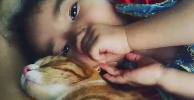 Girl Sleeps Together With Her Kitty From The First Day They Met – We