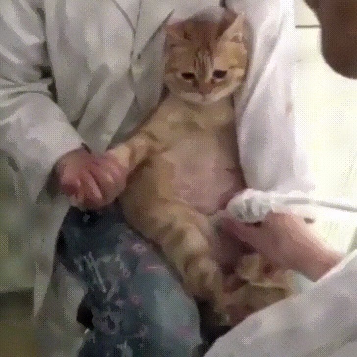 How Cute is That?