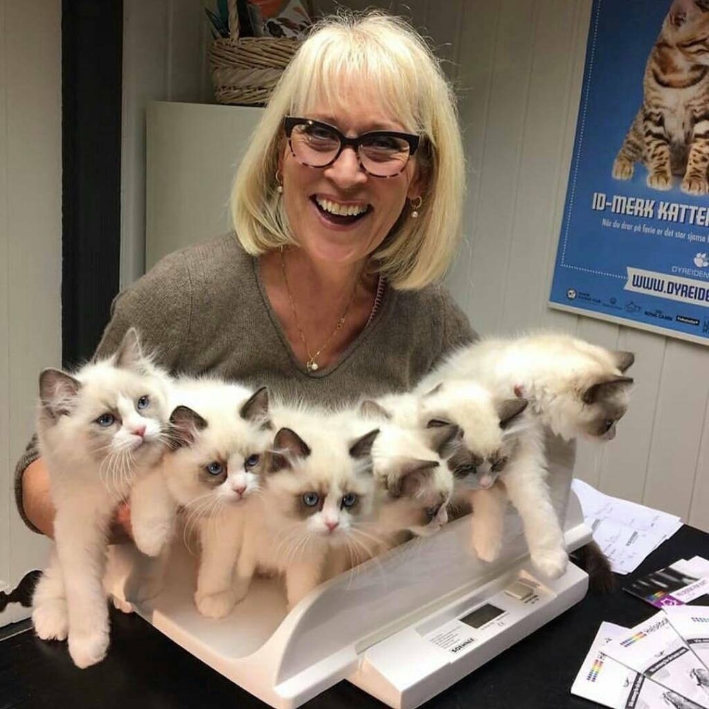 I want them all!