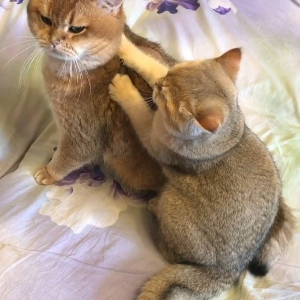 I wish someone would do that to me.