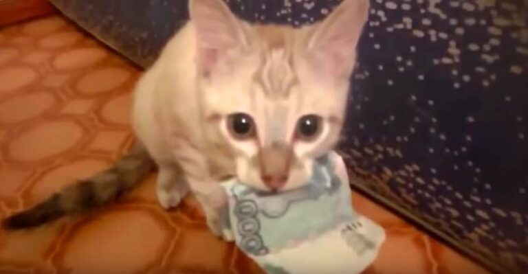 It’s My Money! – hands off!