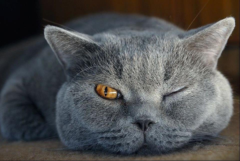 I’ve got my eye on you!
