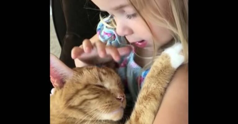 Little Girl Sings Lullaby to Sleepy Kitty – We Love Cats and Kittens