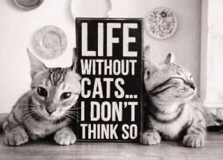 Love this