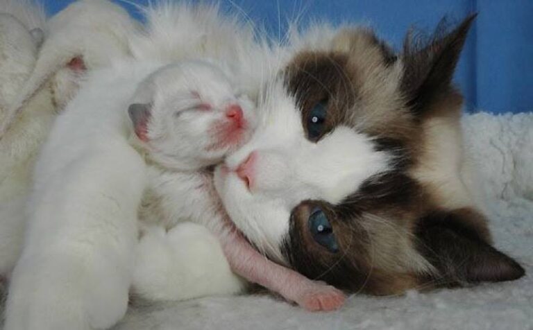 Mama are awesome !! Especially this one