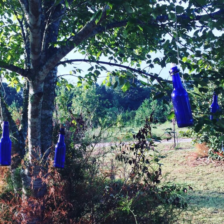 My bottle tree. One fell last week and I quickly corked and buried it