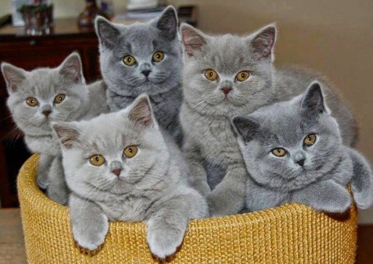 OMG! Cuteness overload !!