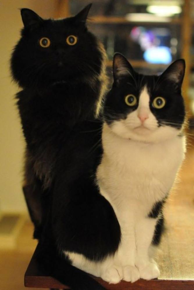 Oh hello, we didn’t do anything while you were at work…….honest! By