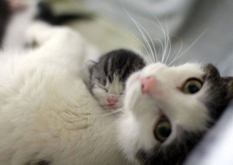 Please don’t wake my baby! Mama