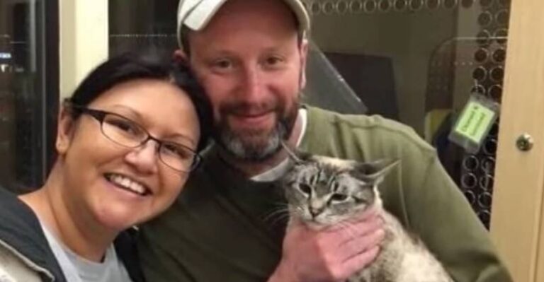 Shy And Afraid Rescue Cat Wraps Arms Around Her New Dad The Moment