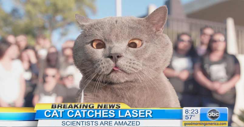 The Cat Who Caught the Laser – We Love Cats and Kittens
