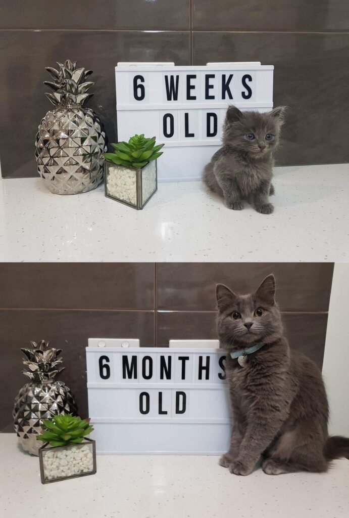 The difference a few months makes!