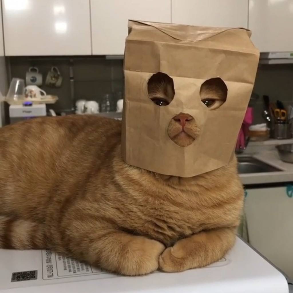 There’s a new superhero in town.