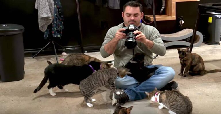 This “My Cat From Hell” Cameraman Couldn’t Leave Without Adopting A