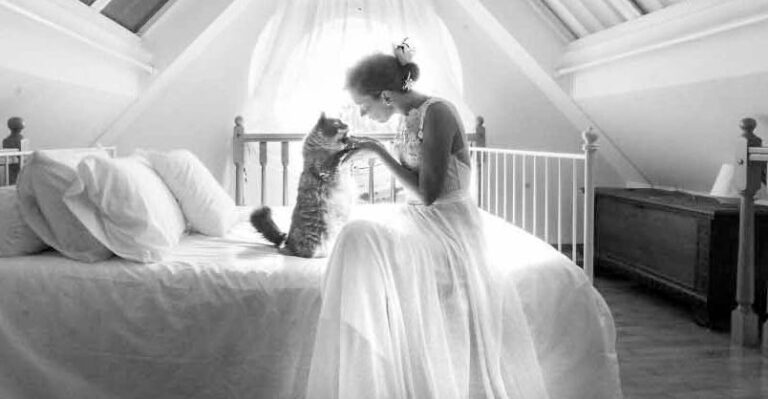 This Photographer Does Post-Wedding Private Shooting With Cats – We
