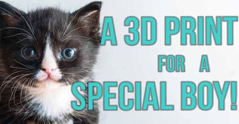 UPDATE: Badger, the Hot Mess Kitten Gets a 3D Print for Megaesophagus