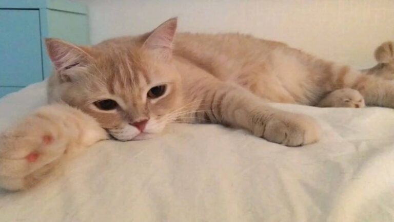 Watch Current mood
