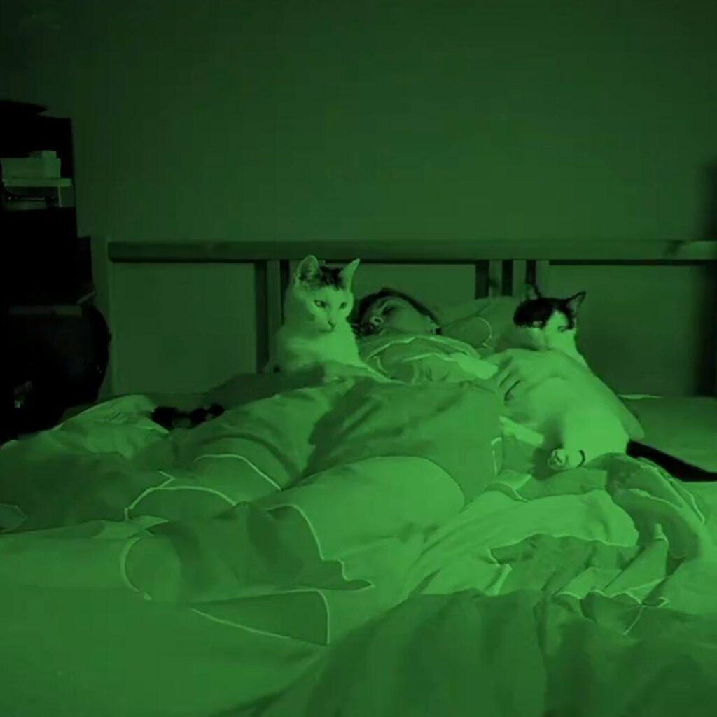 Watch Sleeping With Cats