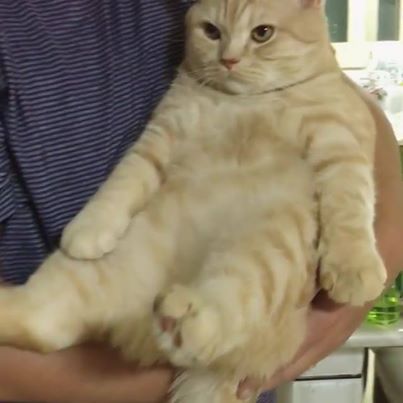 Watch “I’m just a baby.”