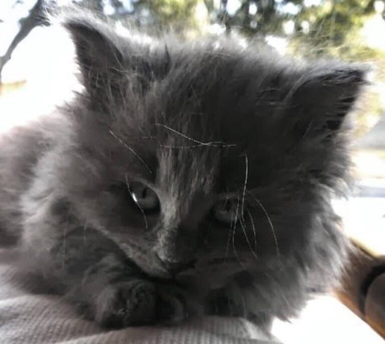 What a gorgeous expression this has…..