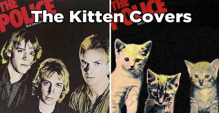 What if Cats Were on Your Favorite Album Covers? – We Love Cats and