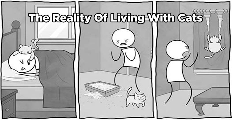 12 Hilarious Comics That Reveal The Reality Of Living With Cats – We